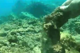 Hình ảnh san hô được cho là tại khu vực Hòn Sẹo chết hàng loạt lan truyền trên mạng xã hội và các trang báo trong thời gian qua. (Ảnh: TTXVN phát)