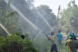 Ban quản lý Vườn Quốc gia U Minh Hạ thường xuyên tổ chức các đợt diễn tập phòng cháy chữa cháy cho cán bộ, lực lượng bảo vệ rừng tại đơn vị. (Ảnh: Huỳnh Anh/TTXVN)