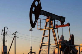 Ảnh minh họa. (Nguồn: themoscowtimes.com)