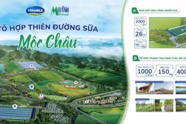 (Nguồn: Vinamik)