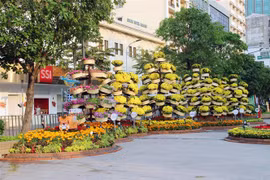 Tiểu cảnh tầng tầng, lớp lớp hoa tươi tạo điểm nhấn ấn tượng ven lối đi trên Đường hoa Nguyễn Huệ Tết Nhâm Dần 2022. (Ảnh: Mỹ Phương/TTXVN)