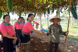 Đại biểu Hội Liên hiệp Phụ nữ Lào tặng biểu tượng hoa Champa cho một người dân làng trồng rau truyền thống Trà Quế, thành phố Hội An, tỉnh Quảng Nam. (Ảnh: Trịnh Bang Nhiệm/TTXVN)
