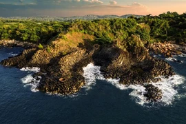 Di tích quốc gia đặc biệt Gành đá đĩa, huyện Tuy An, Phú Yên. (Ảnh: Châu Đạo Cường/TTXVN phát)