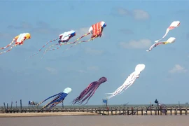 Các cánh diều tại Liên hoan diều toàn quốc lần thứ hai. (Ảnh: Thế Duyệt/TTXVN)