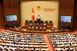 Toàn cảnh phiên họp Quốc hội sáng 6/6. (Ảnh: Doãn Tấn/TTXVN)
