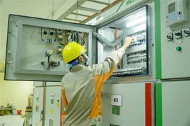 Ảnh minh họa. (Nguồn: TTXVN)