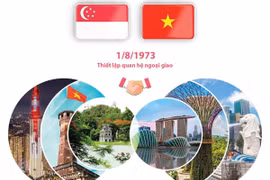 Quan hệ Đối tác chiến lược Việt Nam-Singapore.