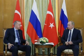 Tổng thống Thổ Nhĩ Kỳ Recep Tayyip Erdogan (trái) trong cuộc hội đàm với người đồng cấp Nga tại thành phố Sochi, ngày 5/8. (Ảnh: AFP/TTXVN)