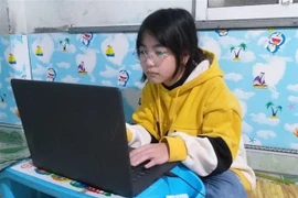 Ảnh minh họa. (Nguồn: TTXVN)