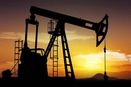 Ảnh minh họa. (Nguồn: newvision.co.ug)