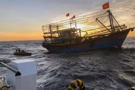 Ảnh minh họa. (Nguồn: TTXVN)