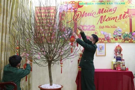 Cán bộ, chiến sỹ Đồn Biên phòng Tân Thanh, tỉnh Lạng Sơn trang trí đào Tết tại đơn vị. (Ảnh: Quang Duy/TTXVN)