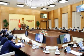 Quang cảnh phiên họp. (Ảnh: Doãn Tấn/TTXVN)