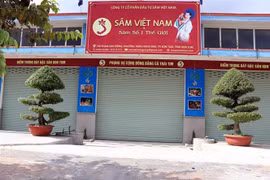 Trụ sở Công ty cổ phần đầu tư Sâm Việt Nam. (Ảnh: Cao Nguyên/TTXVN)