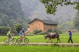 Khách du lịch nước ngoài thăm một vùng quê ở Trung Quốc. (Nguồn: China Daily)