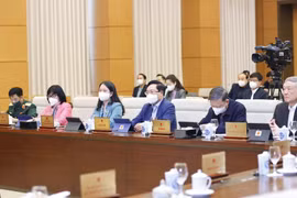 Đại biểu dự phiên họp. (Ảnh: Doãn Tấn/TTXVN)