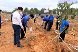 Đoàn viên, thanh niên Bình Thuận trồng 1.000 cây sao đen dọc tuyến kênh thủy lợi tại Khu Lê Hồng Phong, xã Hồng Phong, huyện Bắc Bình. (Ảnh: Nguyễn Thanh/TTXVN)