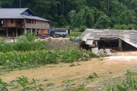 Hoa màu, chuồng trại chăn nuôi của người dân thị trấn Thanh Nhật, huyện Hạ Lang, tỉnh Cao Bằng bị lũ tràn qua gây hư hại. (Ảnh: TTXVN phát)