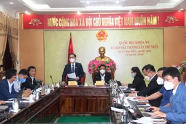 Đại biểu Quốc hội tỉnh Hà Tĩnh thảo luận tại tổ. (Ảnh: Hoàng Ngà/TTXVN)