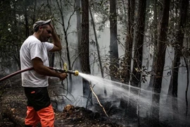 Nhân viên cứu hỏa nỗ lực khống chế các đám rừng tại Pháp. (Ảnh: AFP/TTXVN)