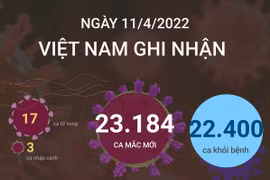 Tình hình dịch COVID-19 ngày 11/4: Số ca tử vong giảm mạnh.