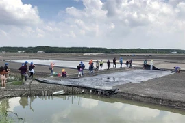 Du khách tham quan cánh đồng muối tại huyện Cần Giờ. (Ảnh: Mỹ Phương/TTXVN)
