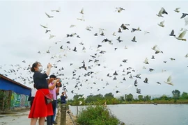 Các đại biểu tham gia trải nghiệm khu du lịch đảo Bầu, huyện An Lão, Hải Phòng. (Ảnh: TTXVN)