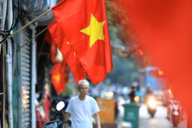 Ảnh minh họa. (Nguồn: TTXVN)