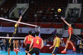 Pha đập bóng của đội Việt Nam. (Ảnh: TTXVN)