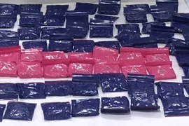 (Ảnh minh họa: TTXVN phát)