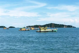 (Ảnh minh họa: Hồng Đạt/TTXVN)