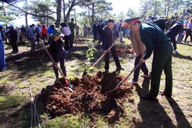 (Ảnh: Đặng Tuấn/TTXVN)