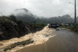 (Ảnh minh họa: Quý Trung/TTXVN)