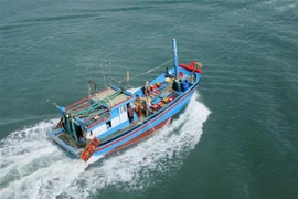 (Ảnh minh: Nguyễn Thành/TTXVN)