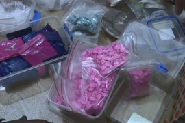 (Ảnh minh họa: Đinh Văn Nhiều/TTXVN)