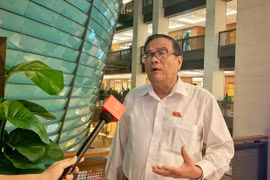 Đại biểu Huỳnh Thanh Cảnh, Phó Bí thư Thường trực Tỉnh ủy Bình Thuận. (Ảnh: Xuân Mai/Vietnam+)