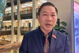 Đại biểu Lưu Bình Nhưỡng. (Ảnh: Xuân Mai/Vietnam+)