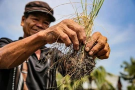 [Mega Story] Ứng phó với biến đổi khí hậu: Cuộc chiến không tiếng súng