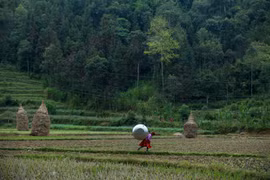 [Mega Story] Hành trình đem "nước sạch" đến với bà con dân bản