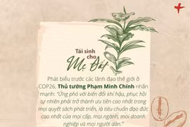 [Mega Story] Tái sinh cho Mẹ Đất từ dự án trồng càphê ở Tây Nguyên