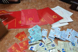 (Ảnh minh họa: Thành Chung/TTXVN)