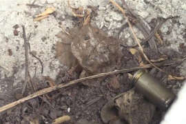 (Ảnh minh họa: Nguyễn Văn Việt/TTXVN)