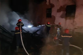 (Ảnh minh họa: Đậu Tất Thành/TTXVN)