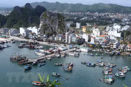 Đảo Cái Bầu là đảo trung tâm, giàu nguồn tài nguyên cho phát triển du lịch sinh thái chất lượng cao nhờ có điều kiện tự nhiên thuận lợi, có nhiều đảo đất hoang sơ, bãi biển đẹp. (Ảnh: Minh Quyết/TTXVN)