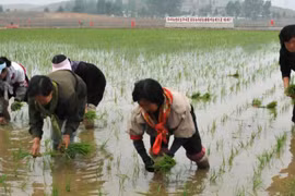 (Nguồn: asianews.it)