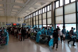 (Ảnh minh họa: TTXVN phát)