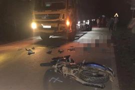 (Ảnh minh họa: TTXVN phát)