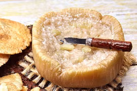 Casu Marzu: Loại phomai “nguy hiểm” nhất thế giới