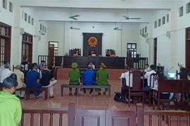 Toàn cảnh phiên tòa xét xử. (Ảnh: Vũ Hà/TTXVN)