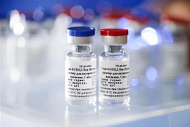 Vắcxin ngừa bệnh COVID-19 của Nga do Viện khoa học nghiên cứu về dịch tễ học và vi trùng học Gamaleya phát triển, tại Moskva ngày 6/8/2020. (Ảnh: AFP/TTXVN)